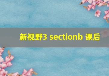 新视野3 sectionb 课后